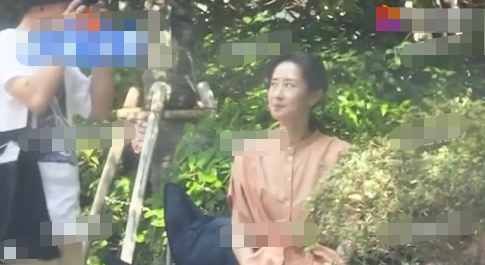林志玲|吃瓜日报丨林志玲怀孕了？洪欣张丹峰离婚了？徐峥女儿出道了？