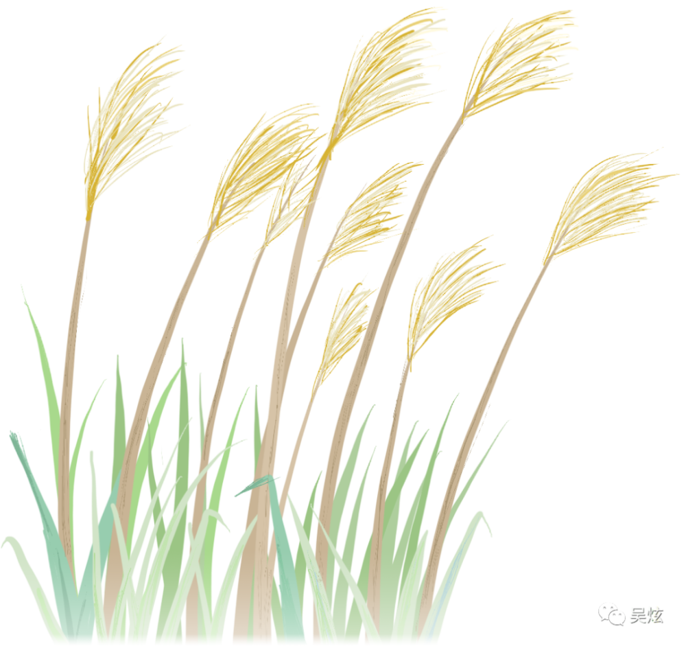 诗经|中国古代三大文学观局限分析