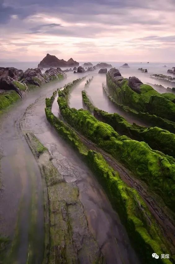 诗经|中国古代三大文学观局限分析