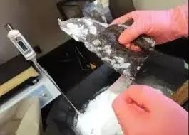 搞笑诺贝尔奖|10万亿奖金的搞笑诺贝尔奖，今年得主不仅有川普还有国人