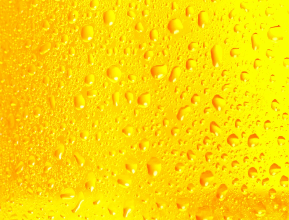 自动酿酒综合征|身体里能酿酒的男子，被自己女儿的粪便治好了