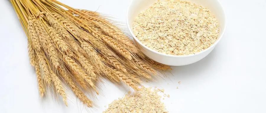 燕麦|性价比最高的明星食物，燕麦真的减肥、降糖、降脂样样行