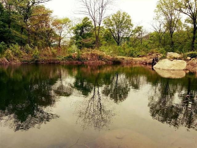 王籍|王籍享誉诗史的名句却被认为有合掌之嫌，王安石改诗沈括赞同，你怎么看？