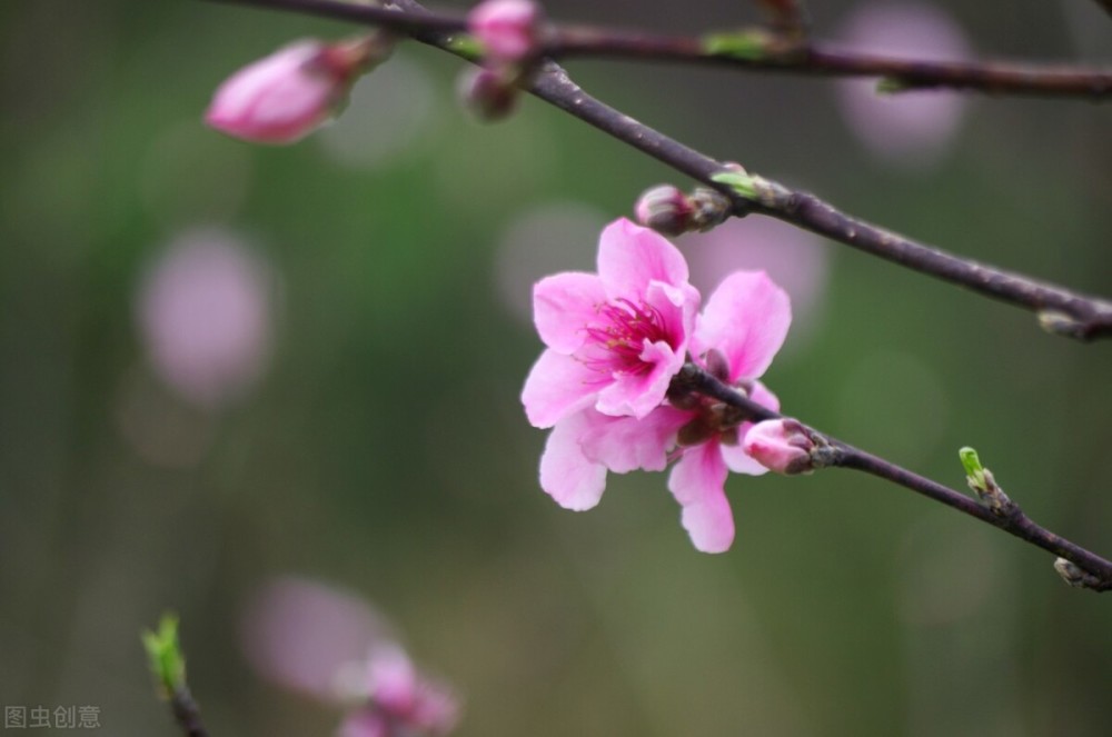 陈政良|秋月春花怀里抱，红尘紫陌醉中弹