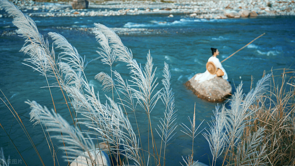 陈政良|秋月春花怀里抱，红尘紫陌醉中弹