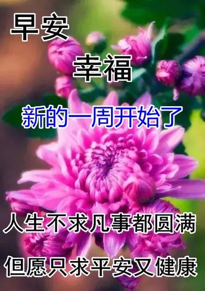 10月18日秋天漂亮早上好圖片動態表情大全最美風景早上好美圖大全