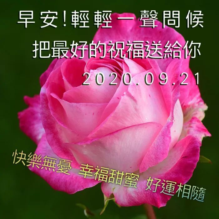 早上好祝福語送朋友 早上好問候圖片