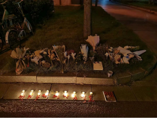 段付谋|突发！南大女博士跳楼，校园自发默哀，谁来关心博士压力？