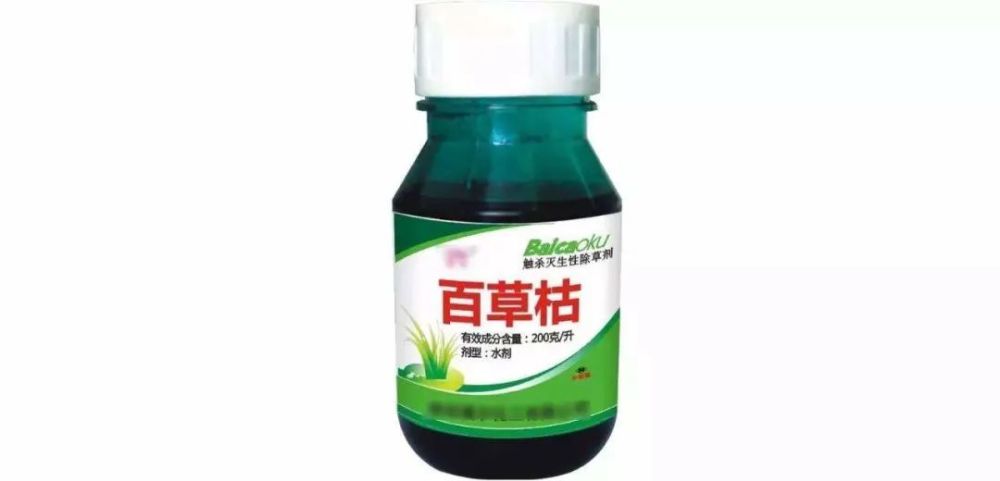 智能玻璃|这个国家公共交通的一个暖心设计，让三百万网友羡慕不已