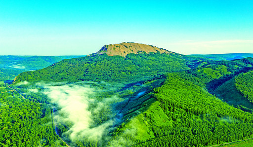 绿水青山变成了金山银山白狼国有林管理局打造森林生态品牌巡礼