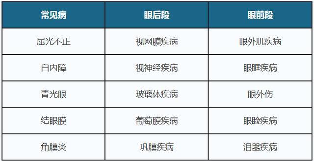 眼科疾病分类