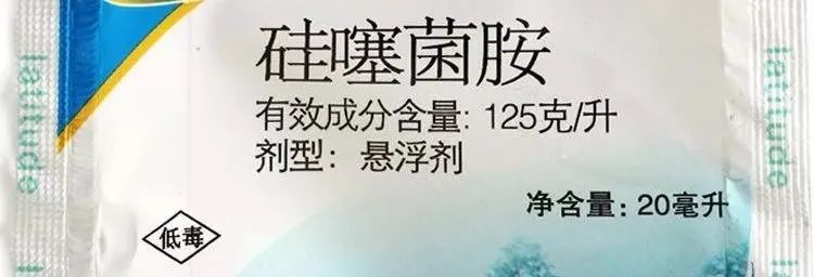 根腐病|这个药比苯醚甲环唑活性高几倍，小麦用它拌种，土传病害全搞定