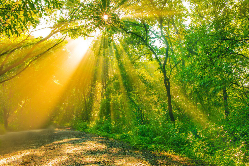 光芒万丈的几大星座