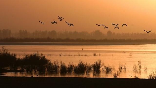 王维|王维一直是个佛系的诗人？错，这首诗看出他的男儿气概和意气风发