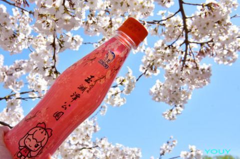 公园|“快给我和这根冰棍拍张照”！公园文创冰淇淋为何成网红？