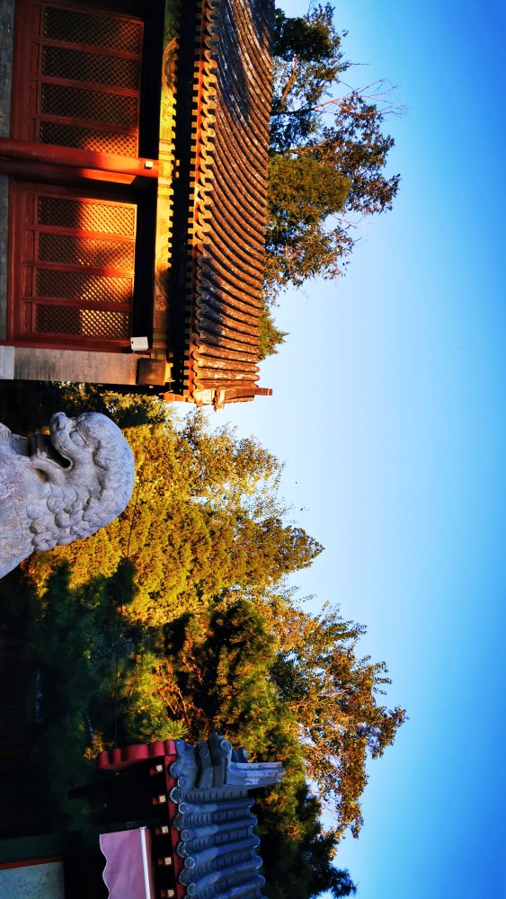 北京|北京风物探秘：北京西山一带的秋色之美，为何美得透亮