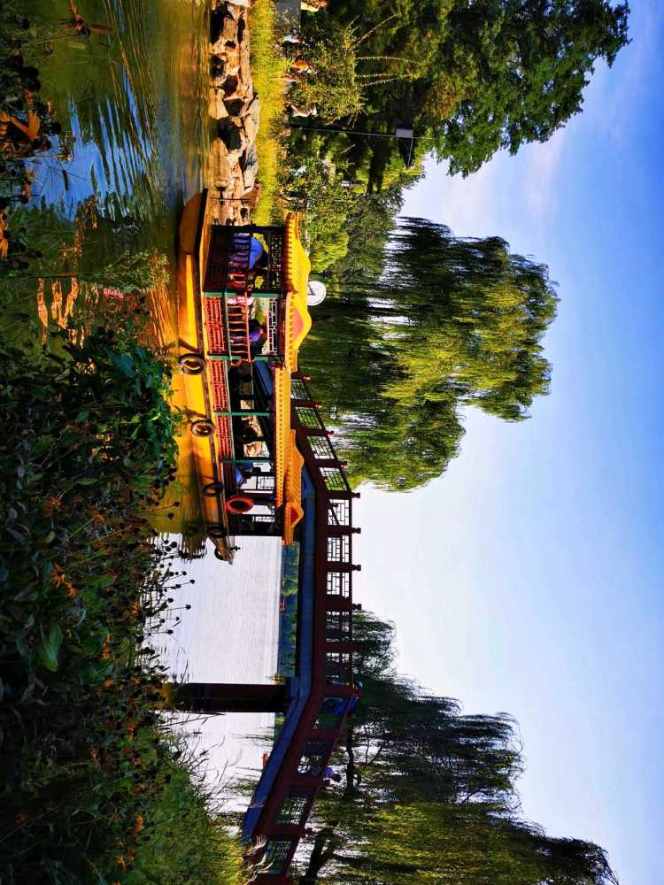 北京|北京风物探秘：北京西山一带的秋色之美，为何美得透亮