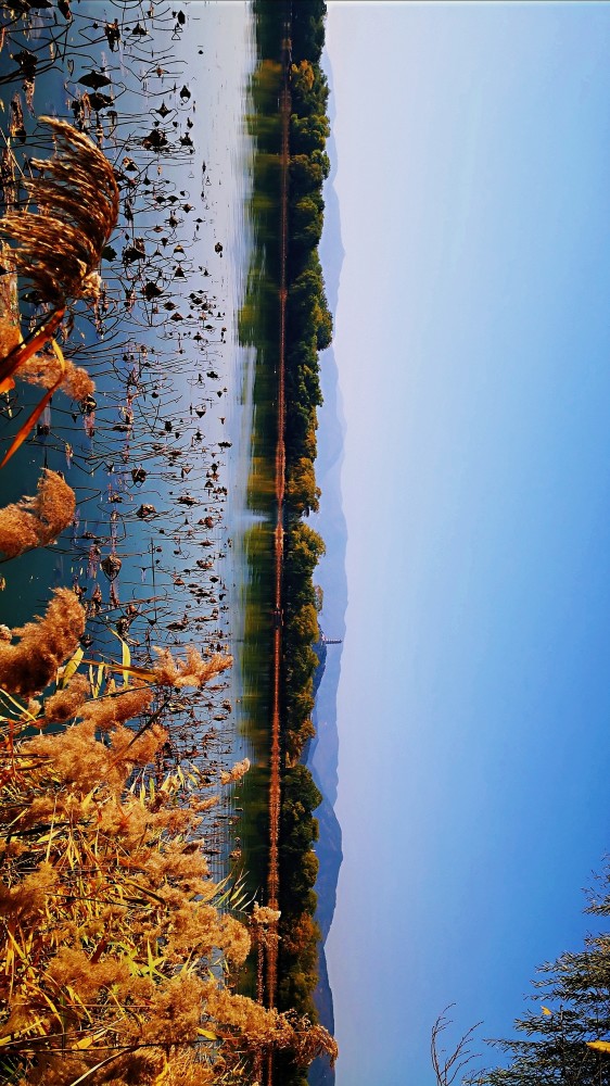 北京|北京风物探秘：北京西山一带的秋色之美，为何美得透亮