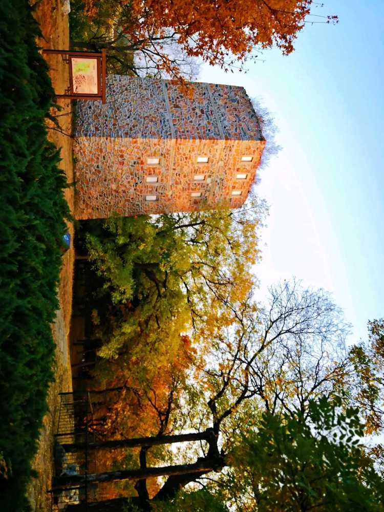 北京|北京风物探秘：北京西山一带的秋色之美，为何美得透亮