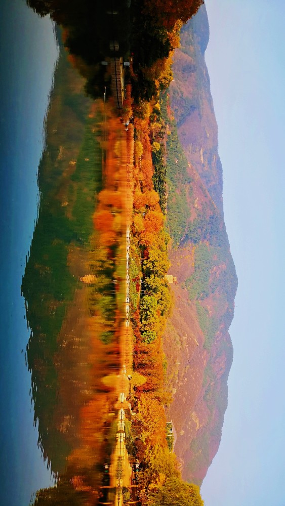 北京|北京风物探秘：北京西山一带的秋色之美，为何美得透亮