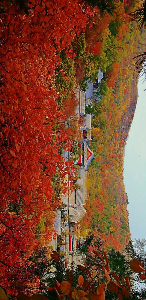 北京|北京风物探秘：北京西山一带的秋色之美，为何美得透亮