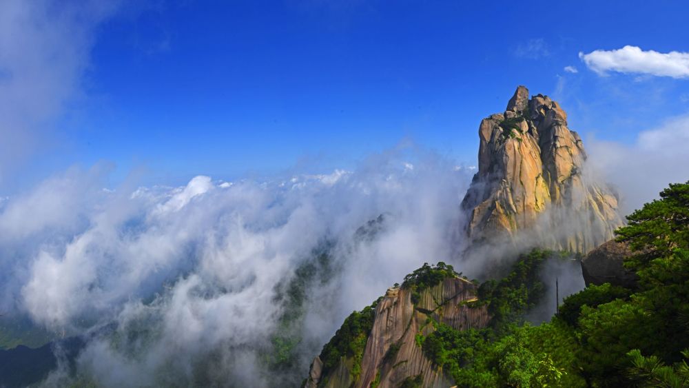 安庆天柱山“魔幻森林”开启游客体验之旅