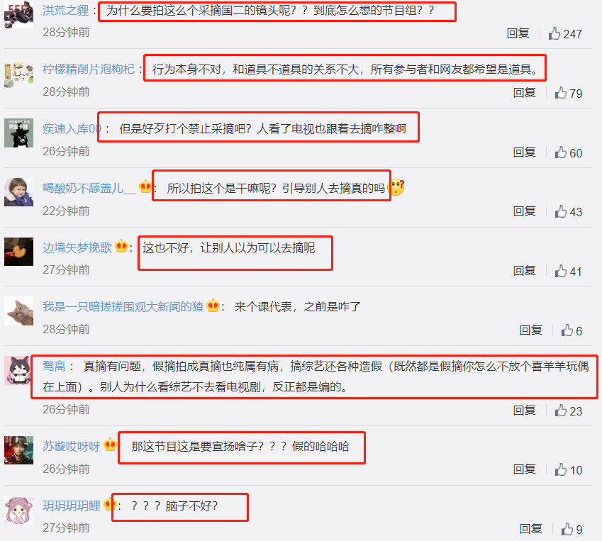 刘宇宁|刘宇宁对《极挑》摘雪莲花一事道歉，解释称：雪莲是节目组道具