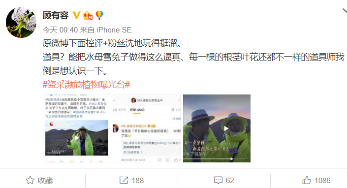 刘宇宁|刘宇宁对《极挑》摘雪莲花一事道歉，解释称：雪莲是节目组道具