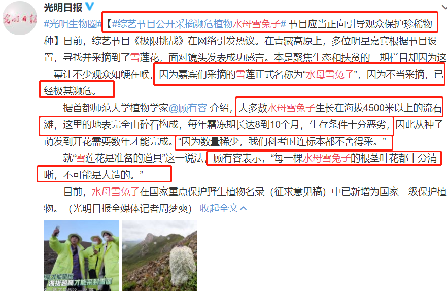 刘宇宁|刘宇宁对《极挑》摘雪莲花一事道歉，解释称：雪莲是节目组道具