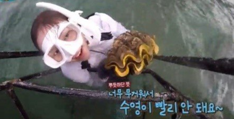 刘宇宁|刘宇宁对《极挑》摘雪莲花一事道歉，解释称：雪莲是节目组道具