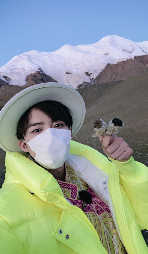 刘宇宁|刘宇宁对《极挑》摘雪莲花一事道歉，解释称：雪莲是节目组道具