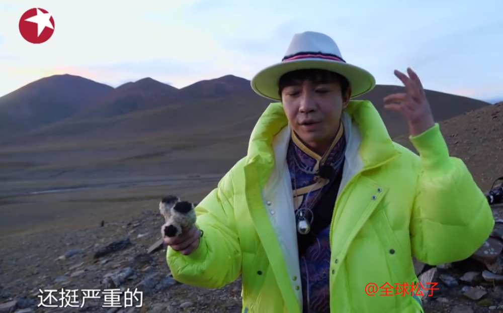 刘宇宁|刘宇宁对《极挑》摘雪莲花一事道歉，解释称：雪莲是节目组道具