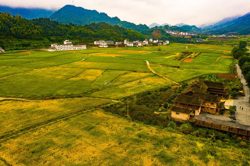 大地为纸水稻为墨 怀化金秋稻田扮靓乡村