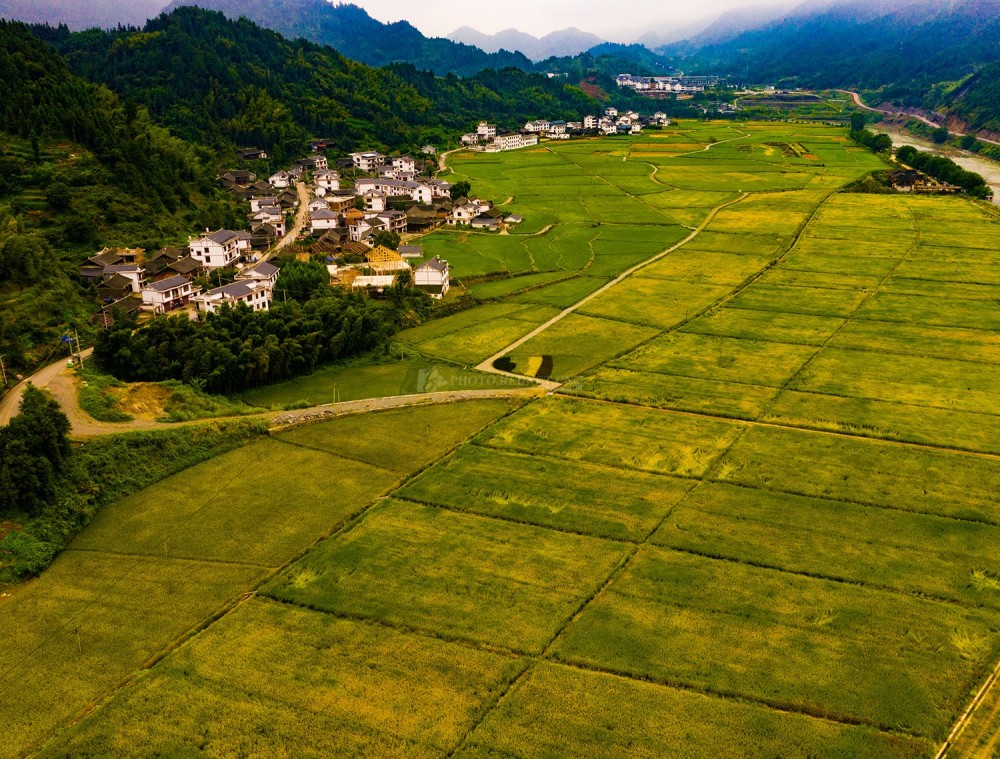 大地为纸水稻为墨 怀化金秋稻田扮靓乡村