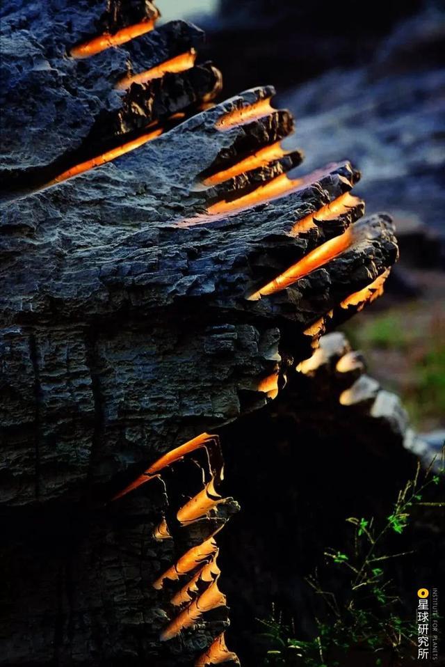 重庆|什么是重庆？