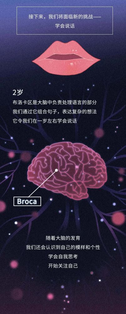 dna|从受精卵到死亡，我们的身体究竟遭遇了什么？一场不可思议的生命过程！