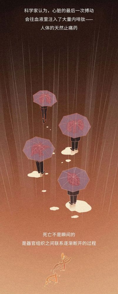 dna|从受精卵到死亡，我们的身体究竟遭遇了什么？一场不可思议的生命过程！