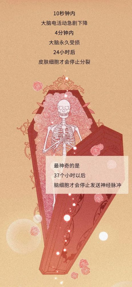 dna|从受精卵到死亡，我们的身体究竟遭遇了什么？一场不可思议的生命过程！