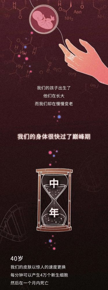 dna|从受精卵到死亡，我们的身体究竟遭遇了什么？一场不可思议的生命过程！