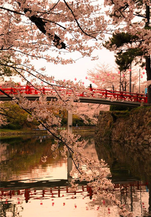 沈从文|沈从文：把最好的情话、最深的乡愁说给你听