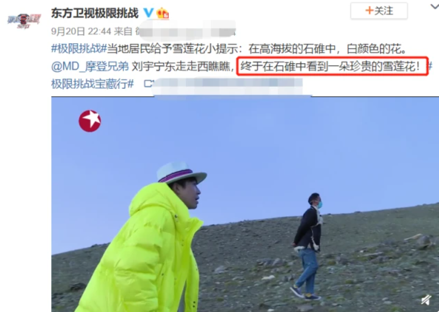 刘宇宁|刘宇宁摘水母雪兔子惹争议，本人称是道具，植物学家揭开真相
