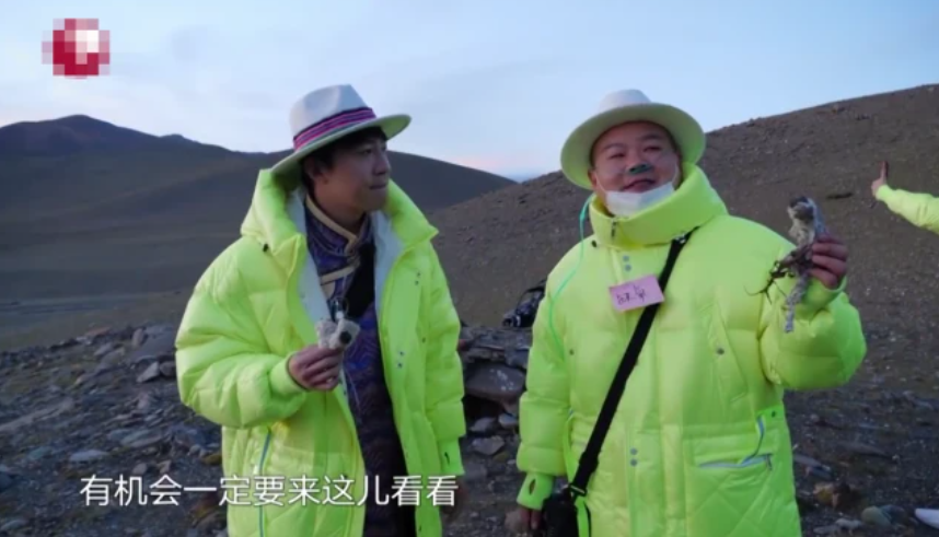 刘宇宁|刘宇宁摘水母雪兔子惹争议，本人称是道具，植物学家揭开真相