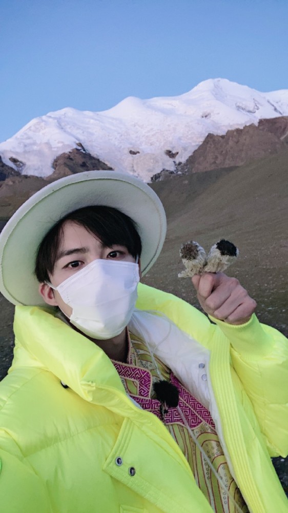 刘宇宁|刘宇宁摘水母雪兔子惹争议，本人称是道具，植物学家揭开真相