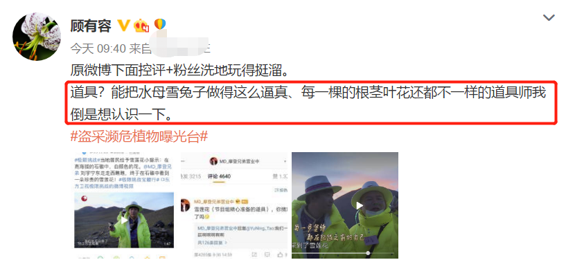 刘宇宁|刘宇宁摘水母雪兔子惹争议，本人称是道具，植物学家揭开真相