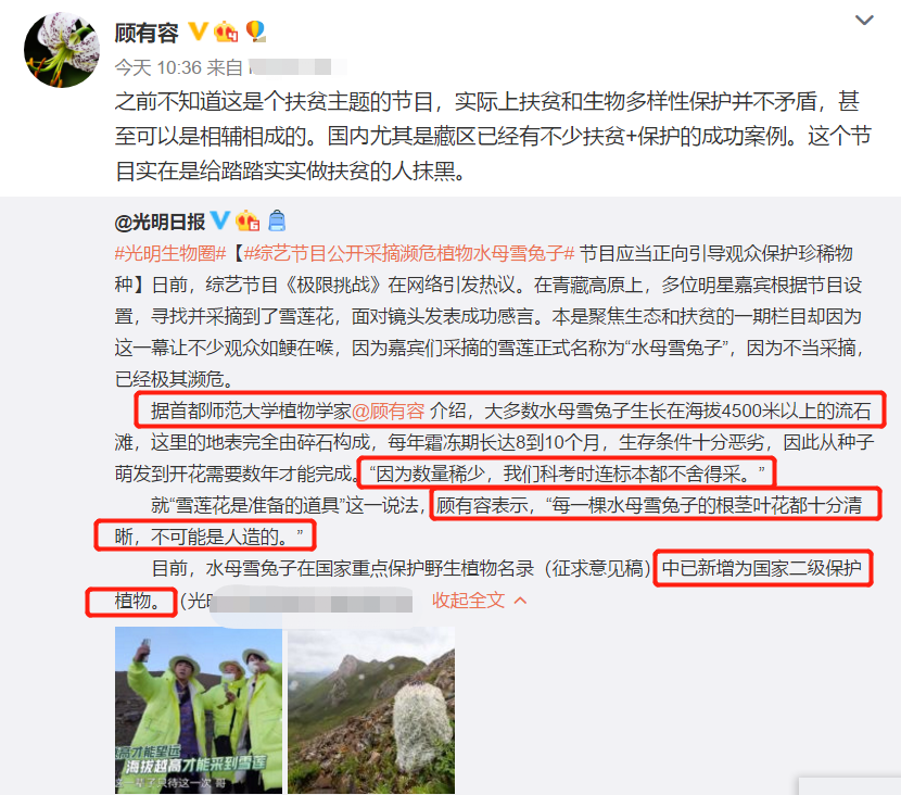 刘宇宁|刘宇宁摘水母雪兔子惹争议，本人称是道具，植物学家揭开真相
