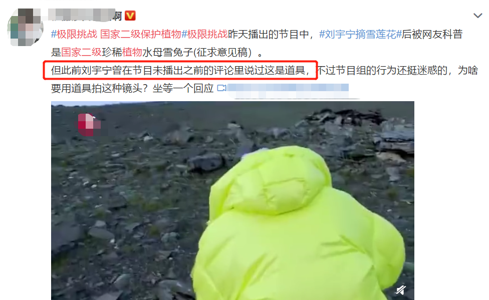 刘宇宁|刘宇宁摘水母雪兔子惹争议，本人称是道具，植物学家揭开真相