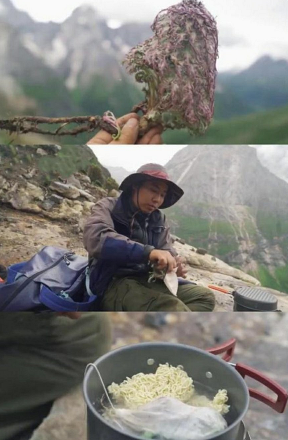 刘宇宁|刘宇宁摘水母雪兔子惹争议，本人称是道具，植物学家揭开真相