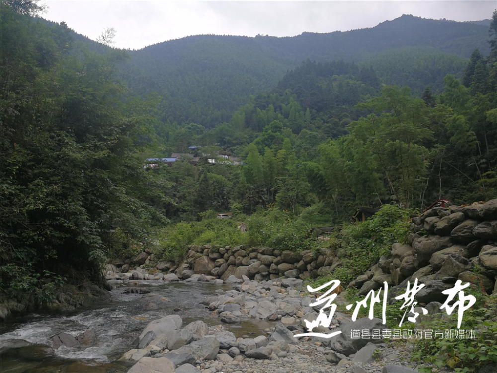 忠诚之路陈树湘空树岩村再战湘南
