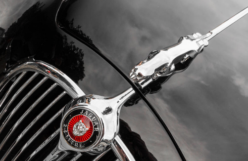 5种罕见的动物车标 其中3个都在中国 还有一个老板是吉利 安若 跑车 大象 法拉利 车标 吉利 布加迪