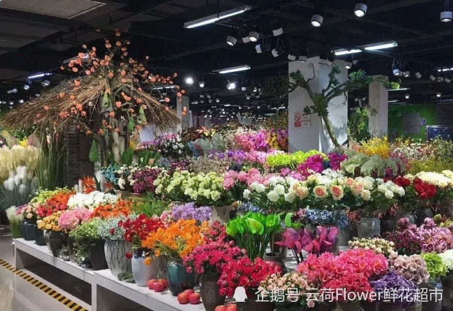 想开花店去哪里进货渠道(想开花店去哪里进货渠道比较好)